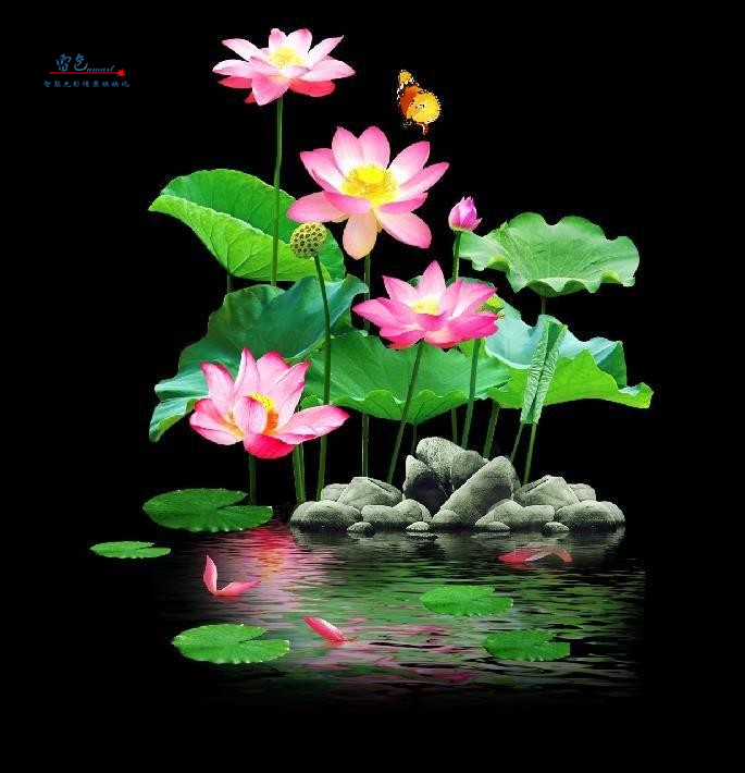 雷色光電|LED·夢幻水影燈/LS-SY100~LS-SY600(圖1) 雷色光電|LED·夢幻水影燈/LS-SY100~LS-SY600(圖1)