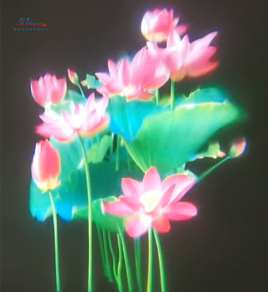 雷色光電|LED·夢幻水影燈/LS-SY100~LS-SY600(圖3) 雷色光電|LED·夢幻水影燈/LS-SY100~LS-SY600(圖3)
